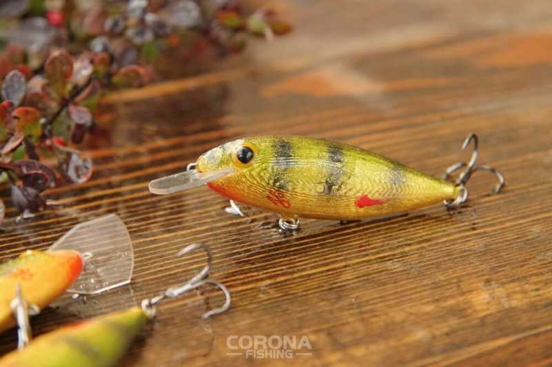 wobler krąpik szuczkiewicz